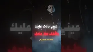 اغنيه بتهون تصميمي الشامي 