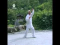 Download Lagu Wu Tai Chi - Forma 46
