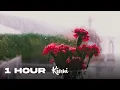 Download Lagu [1 HOUR] Jacob and the Stone - Emile Mosseri (slowed + reverb)