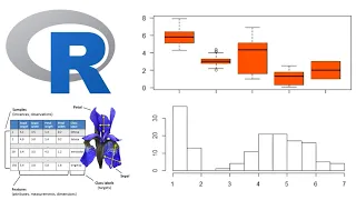 Data Science with R Statistical Analysis Visualization using Iris Dataset