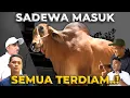 Lagu SEMUA ORANG TERDIAM KETIKA SAPI SADEWA DATANG!