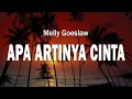 Download Lagu Apa Artinya Cinta - Melly Goeslaw feat. Ari Lasso | Lirik Lagu