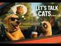 Dogs Driving a Car while Discussing about CATS