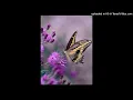 Download Lagu VJ - MASHUP ( Waar dan ook) (Tout Est Bon)