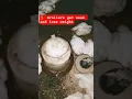Download Lagu Dirty Feeders, Sick Birds 🦠#BroilerTips #CleanFarm #HealthyChickens