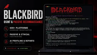 Find ANY Account Online in Seconds Blackbird OSINT Tutorial