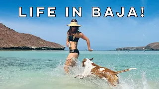A Sailors Life in BAJA! 🤩🇲🇽⛵️ [Part 4]