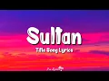 Download Lagu Sultan Title Song (Lyrics) Salman Khan, Anushka Sharma, Shadab, Sukhwinder Singh