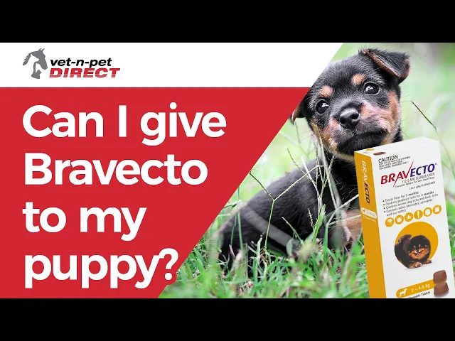 Bravecto 1-Month Chews for Small Dogs 4.5-10kg (Orange)