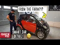 Cleaning a Farmer s DIRTY Smart Car