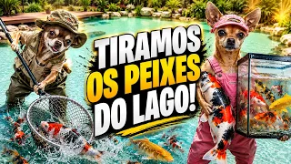 INFELIZMENTE TIVEMOS QUE TIRAR PEIXES DO NOSSO LAGO! 😢🐟