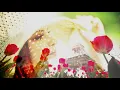 Lolo Zouaï - Beaucoup (Prod. by Stelios)