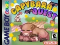 Capybara Quest Walkthrough