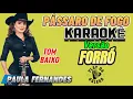 KARAOKÊ DA MÚSICA / PÁSSARO DE FOGO de Paula Fernandes ( Versão ) Forró PLAYBACK Tom Baixo