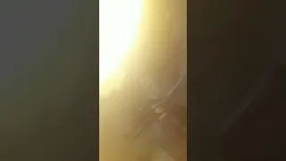 احمد شويحنه 