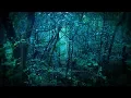 Download Lagu Rain in Forest White Noise | Sleep, Study, Focus | 10 Hours Rainstorm