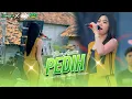 Download Lagu TIARA AMORA - PEDIH - SINCRON MUSIC - WONG LENGKI - 96 AUDIO