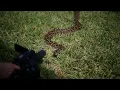 Python Catching Training
