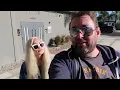 A Lengthy Day Finding The LA LA LAND (2016) Filming Locations - Why I Moved To Hollywood California