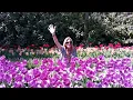 Monkey Safari - Goodbye re-remix