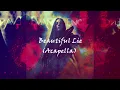 Evanescence - Beautiful Lie [ACAPELLA HQ]