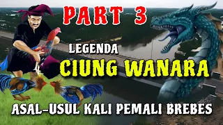 Download Legenda ciung wanara-asal usul kali pemali brebes \u0026 cerita kerajaan galuh #part3 MP3
