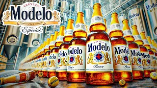 How MODELO Beer is Made How it Became a Worldwide Sensation