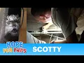 Rescuing a scared homeless poodle underneath a house Please share this challenging rescue