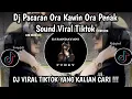 DJ PACARAN ORA KAWIN ORA PENAK SOUND VIRAL TIKTOK TERBARU