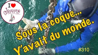 #310 Sous la coque… Y’avait du monde.
