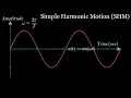 Simple harmonic motion graph using manim