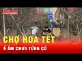 Lagu Chợ hoa Tết 2026 không bóng người mua, tiểu thương ế ẩm chưa từng có  | Tin tức 24h
