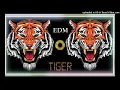 Download Lagu SAMAY KA KHEL HAI --EDM DJ AKASH DHILLA