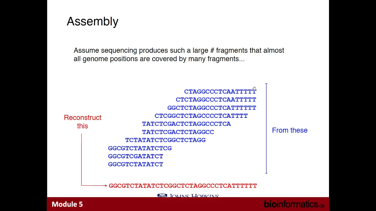 Genome Assembly by Jared Simpson