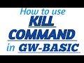 KILL COMMAND in GW-BASIC with Practical Example in GW-BASIC