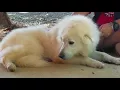 Meet Kiera 17