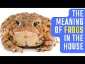 The Meaning of Frogs in the House