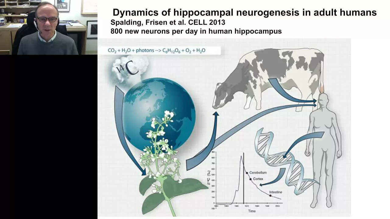 Fred Gage - Regulation and Function of Neurogenesis in the Adult Hippocampus