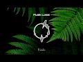 Download Lagu Jenggala Jingga - Bulan dan Malam [Musik Lirik Indie Folk Indonesia]