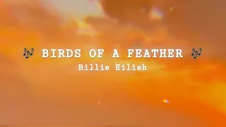 Billie Eilish BIRDS OF A FEATHER Slowed Lyrics 