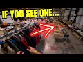 Learn to Spot These BOLO s or Miss Out