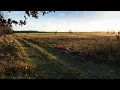 Fito Páez - Al lado del camino (En vivo) (Letra español-inglés)