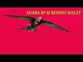 Download Lagu Suara sp si bening walet