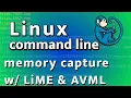 Linux memory forensics - memory capture with LiME and AVML