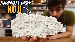 How to Make Rice Koji at Home Plus Miso Making