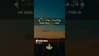 اجمل تلاوة للصوت الباكى الشيخ المنشاوى اكسبلور القرانالكريم تيك توك 