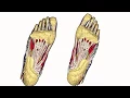 Why Thorlos Work 2 0