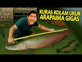 Lagu KURAS KOLAM SAMBIL UKUR ARAPAIMA GIGAS AKU YANG UDAH SETAHUN DI KOLAM ! KIRA-KIRA SEBESAR APA YA!