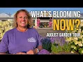 Golden Hour Garden Tour Every Corner Is Blooming Right Now Garden Crossings