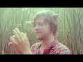Loyal Man by Yukon Blonde